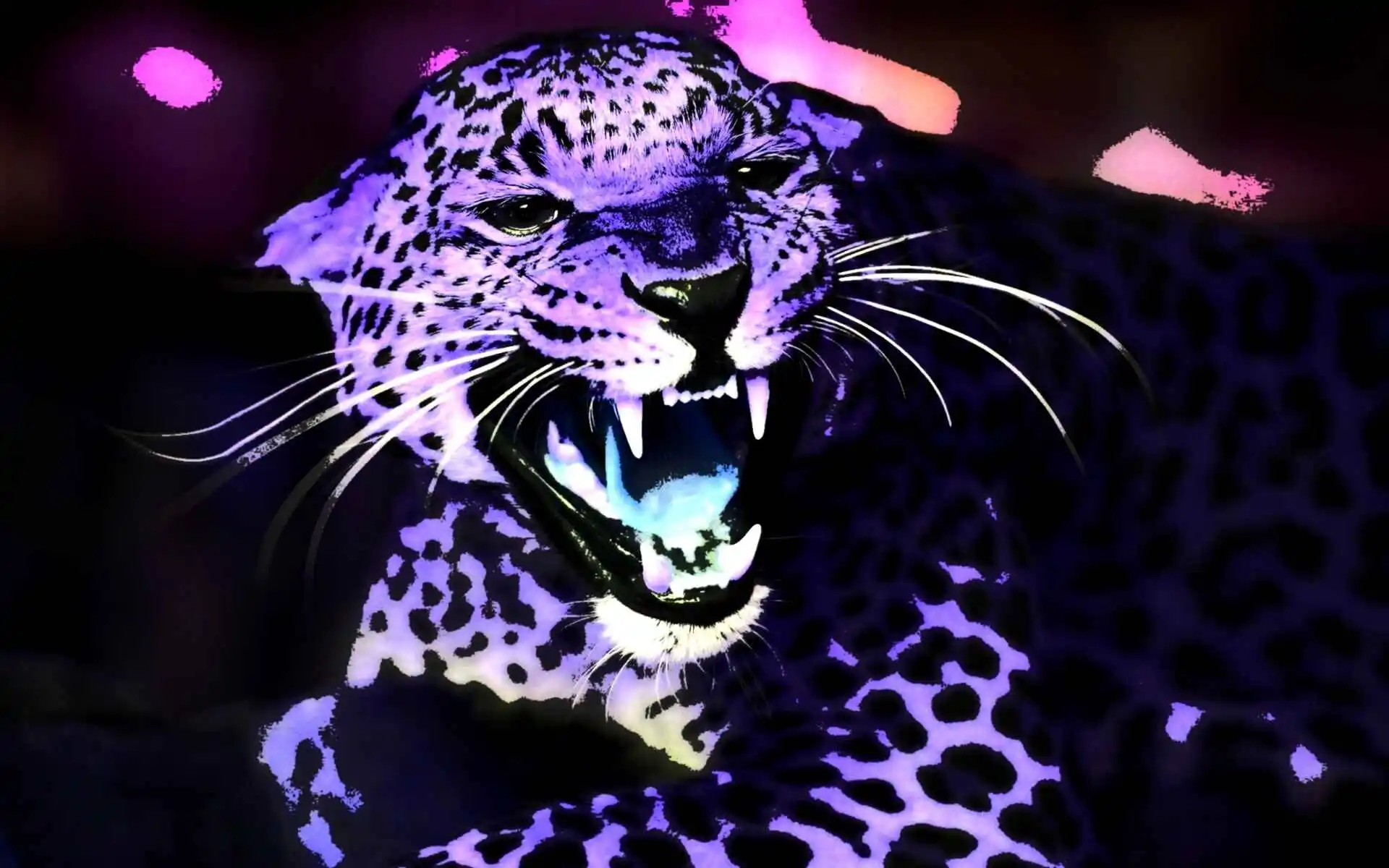 Leopard after